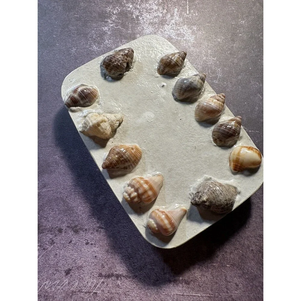 Handmade Soap Dish Cement Soap Holder Bathroom Kitchen Sea Shells